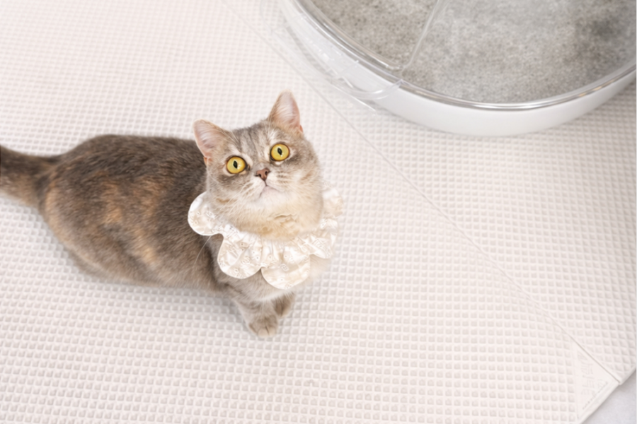 모래매트, 캐치매트, 냥썜매트