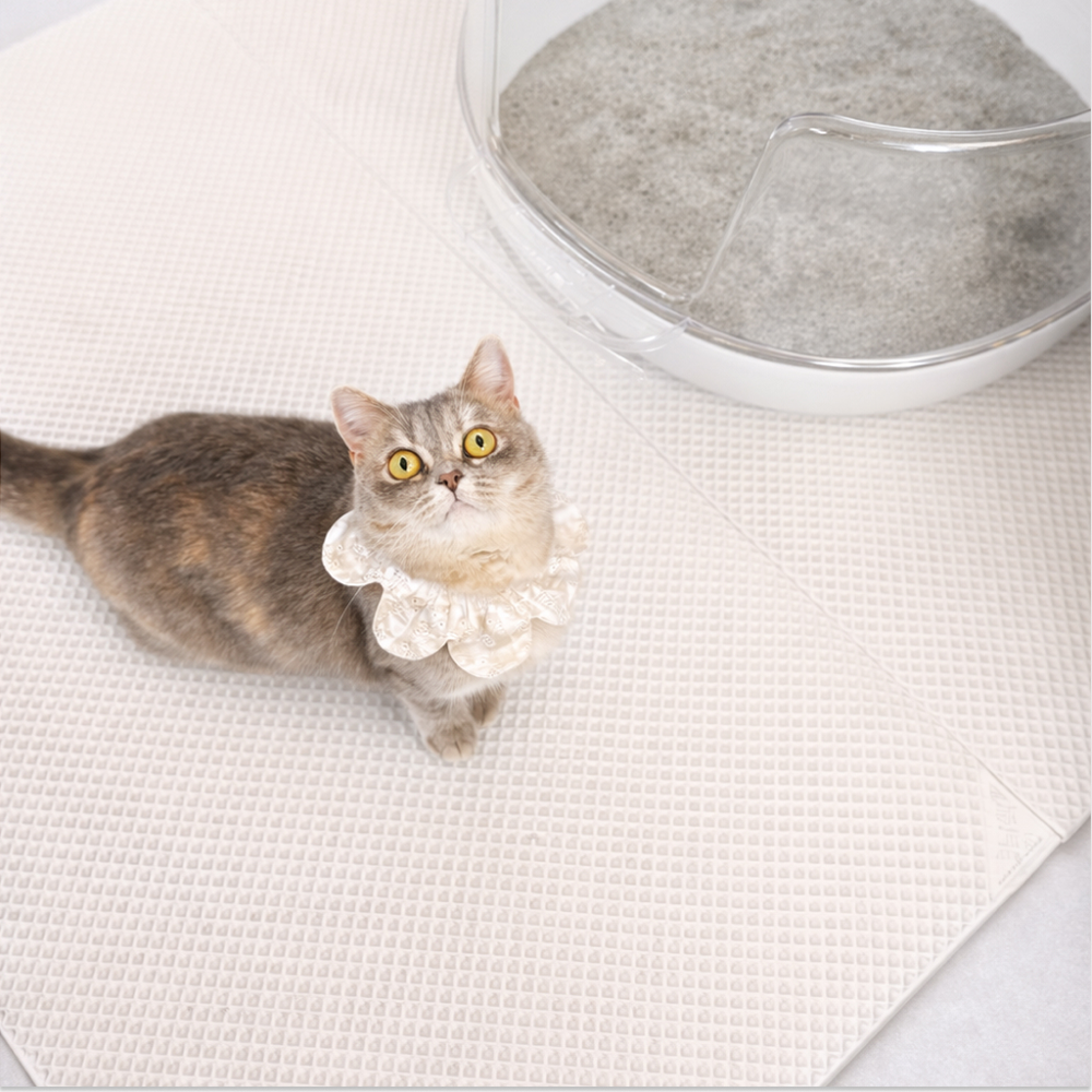 모래매트, 캐치매트, 냥썜매트