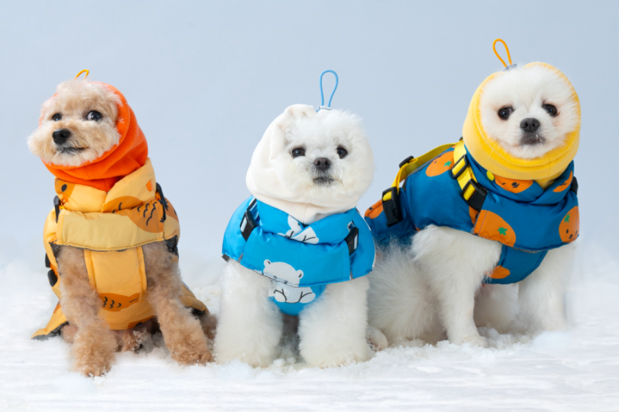 댄 리얼 하네스 패딩